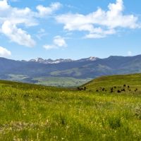 Gallatin Views lt br gt at Montana Ranch images 1