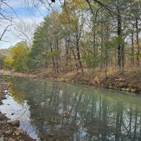 THE BEAR DEN - CABIN ON 10 ACRES images 3