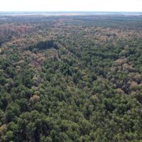 25139 Hwy 165 Fenton LA 70640