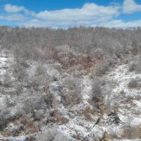 Hunting and Recreational Land for sale in Richland County WI images 4