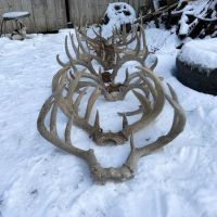 Hunting and Recreational Land for sale in Richland County WI images 5
