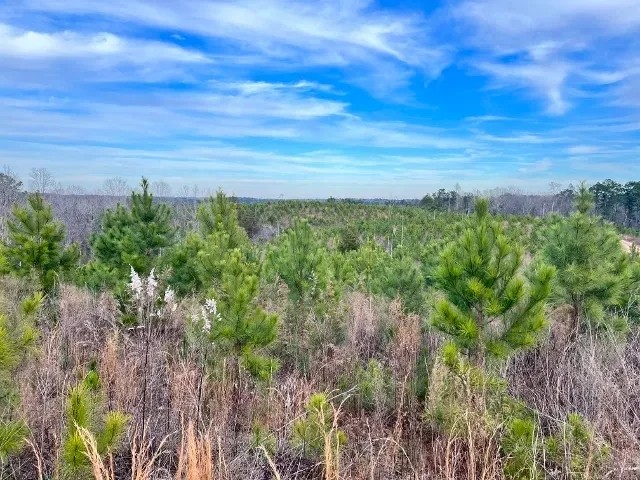 McCool West Tract featured image