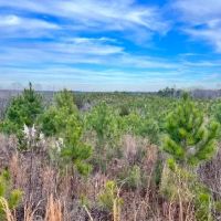 McCool West Tract