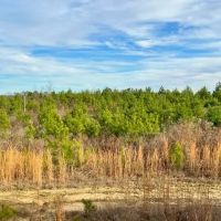 McCool West Tract images 2