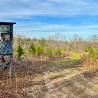 McCool West Tract images 4