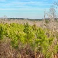 McCool West Tract images 5