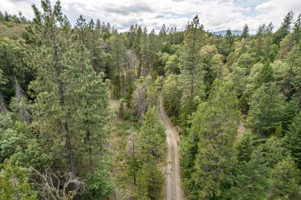 40 acres of Recreation Land 220165000 featured image