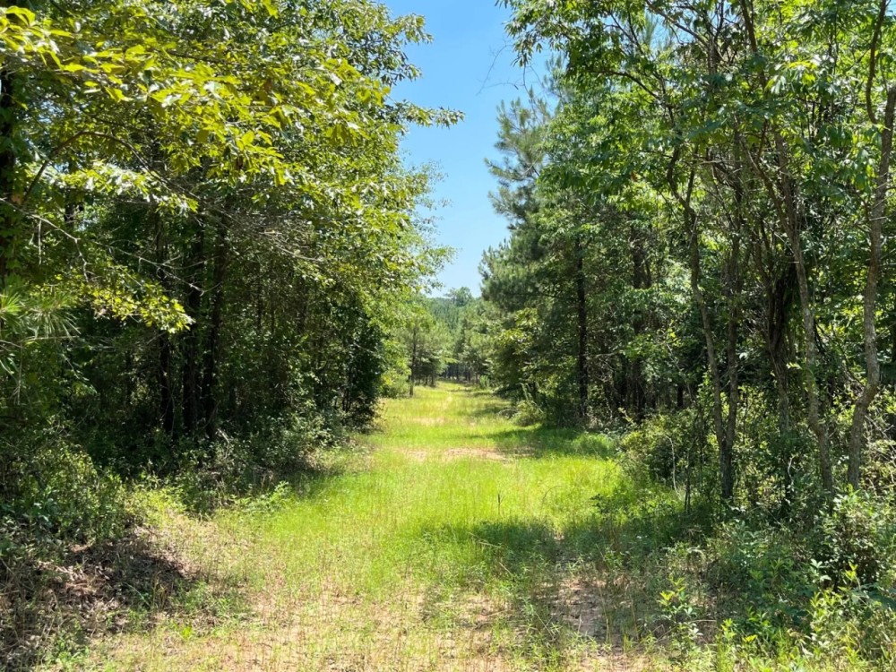 119 - ac Crenshaw Co featured image
