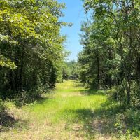 119 - ac Crenshaw Co