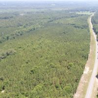119 - ac Crenshaw Co images 2