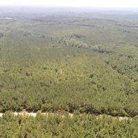 119 - ac Crenshaw Co images 3