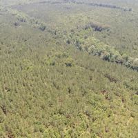 119 - ac Crenshaw Co images 4