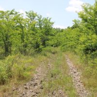 Recreational Development Land For Sale NE TX