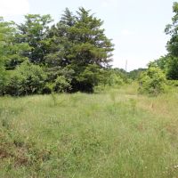 Recreational Development Land For Sale NE TX images 3