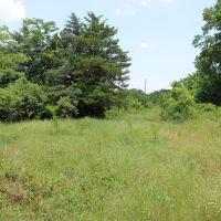 Recreational Development Land For Sale NE TX images 4