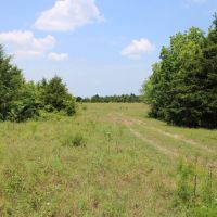 Recreational Development Land For Sale NE TX images 5