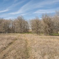 13.5 Acres in Milam County images 2