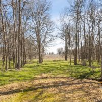 13.5 Acres in Milam County images 4