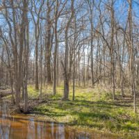 13.5 Acres in Milam County images 5