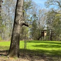76 Acre Hunters Paradise in Fitzpatrick images 5