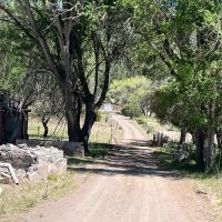 Aragon Log Cabin along the Tularosa River images 3