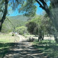 Aragon Log Cabin along the Tularosa River images 4