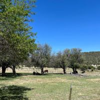 Aragon Log Cabin along the Tularosa River images 5