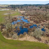 Land with Riverfront Access in Cowlitz County images 5