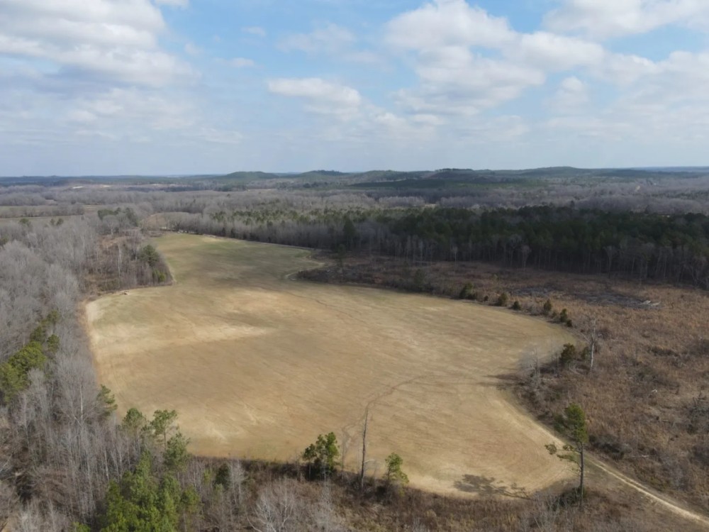 80 Acres with a Home in Montgomery County MS featured image