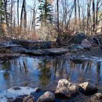 Bearslide Ranch images 3