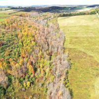 17 acre Building Lot with Stream and Views in Canisteo NY Lamphier Road images 5