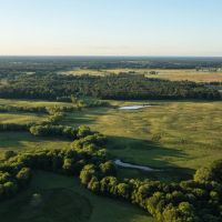 Northeast Texas Cattle Ranch - Bowie County images 2