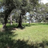 1801 FM 1383 Schulenburg TX 78956