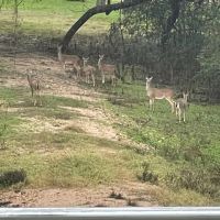 1801 FM 1383 Schulenburg TX 78956 images 2