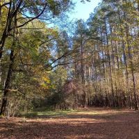 Turnkey 109 Acres for Sale in Clinton LA images 2