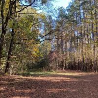 Turnkey 109 Acres for Sale in Clinton LA images 3