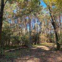 Turnkey 109 Acres for Sale in Clinton LA images 5