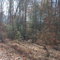 Blair Rd images 3