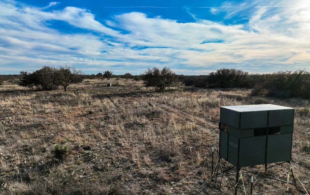 Fallow Tail Ranch featured image