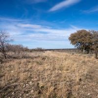 Fallow Tail Ranch images 3