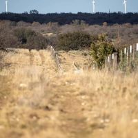 Fallow Tail Ranch images 4