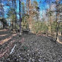 40 Acres Land for Sale Quitman LA images 5