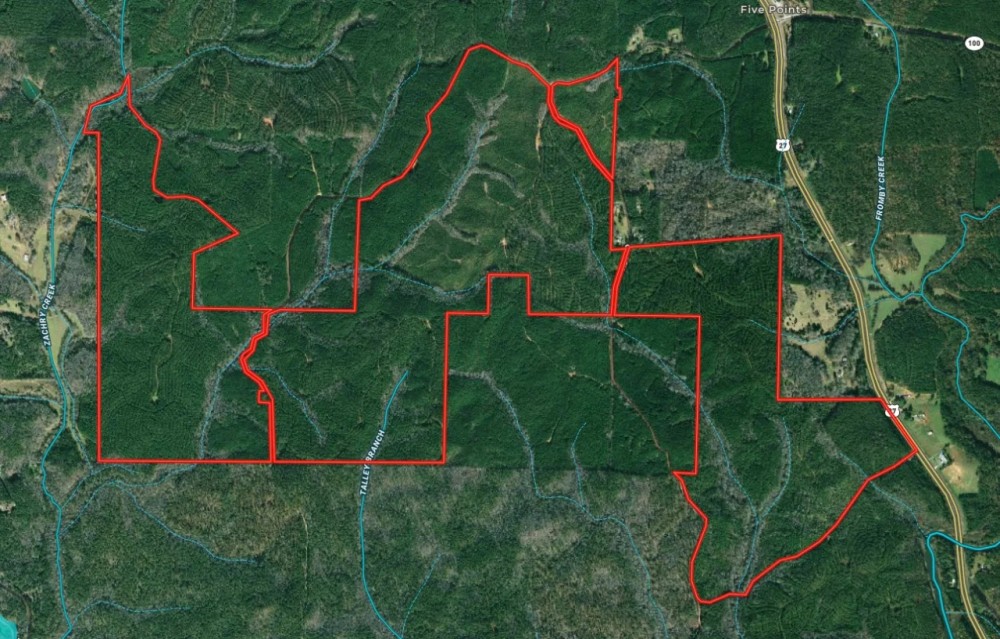 Large Timberland Property in West Heard County Hunting Land for Sale