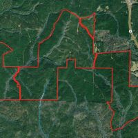 Large Timberland Property in West Heard County