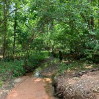 Large Timberland Property in West Heard County images 2