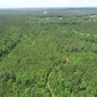 Large Timberland Property in West Heard County images 5