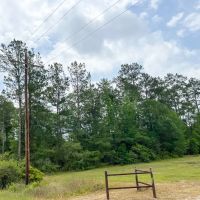 14.5 Acres FM 2937 A-6 Silsbee Stake images 3