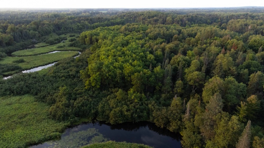 Price County Wisconsin 274 Acres For Sale featured image