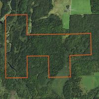 Price County Wisconsin 274 Acres For Sale images 2