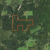 Price County Wisconsin 274 Acres For Sale images 3